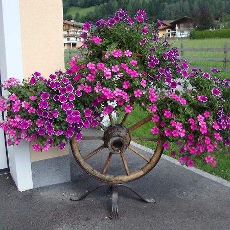 Haus Schnepfleitner Daire Dorfgastein Dış mekan fotoğraf