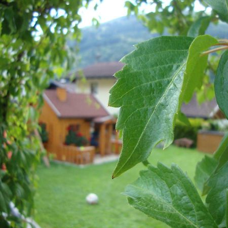 Haus Schnepfleitner Daire Dorfgastein Dış mekan fotoğraf