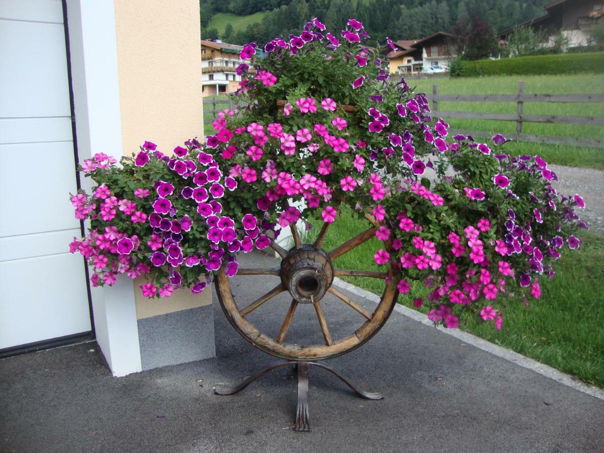 Haus Schnepfleitner Daire Dorfgastein Dış mekan fotoğraf