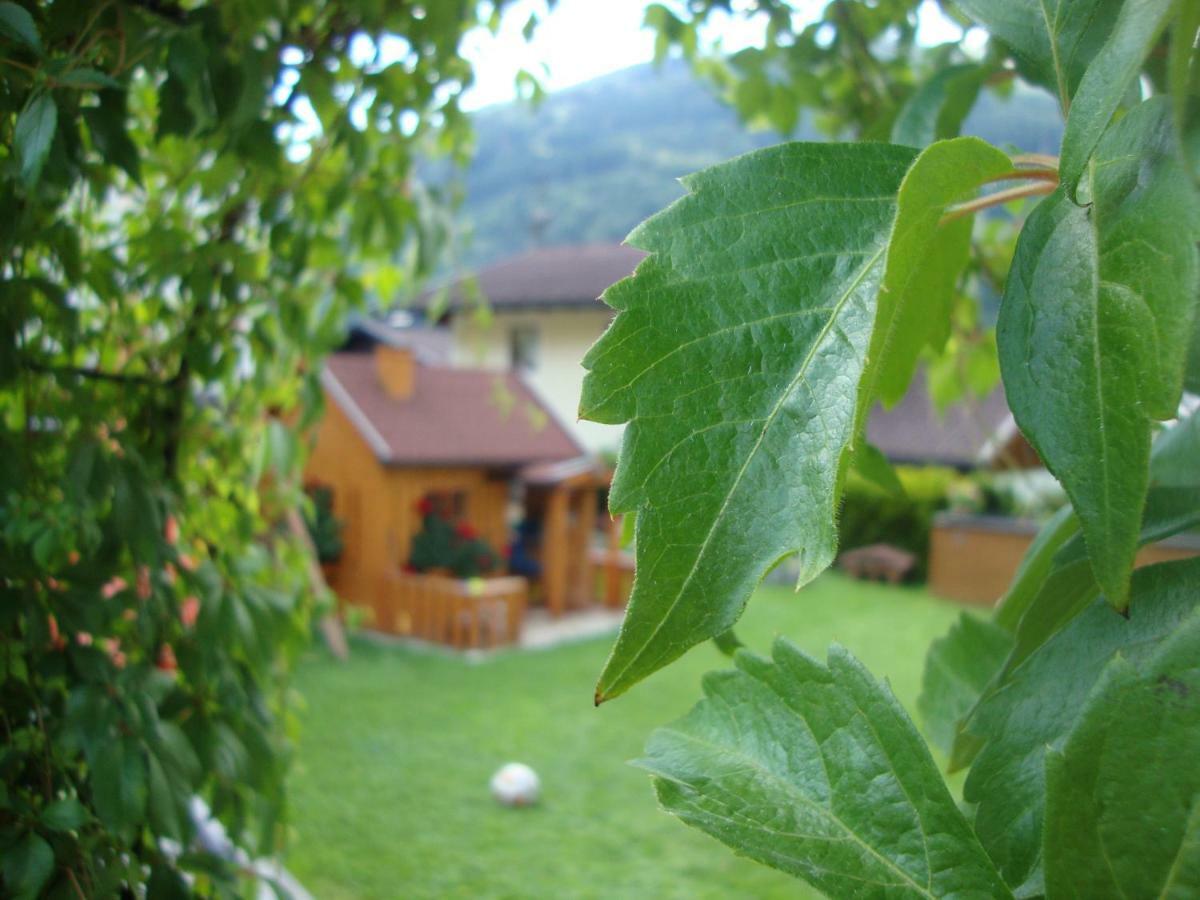 Haus Schnepfleitner Daire Dorfgastein Dış mekan fotoğraf